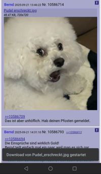Pfostenbild
