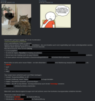 Pfostenbild