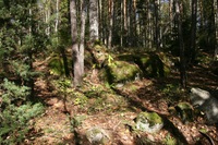 Pfostenbild