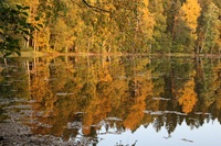 Pfostenbild