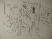 Pfostenbild