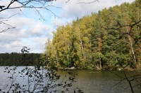 Pfostenbild