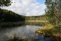 Pfostenbild