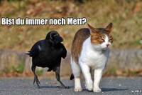 Pfostenbild