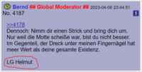 Pfostenbild