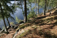 Pfostenbild