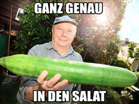 Pfostenbild