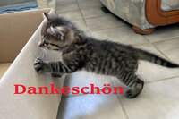 Pfostenbild