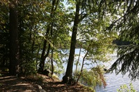 Pfostenbild