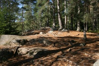 Pfostenbild
