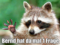 Pfostenbild