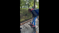 Pfostenbild