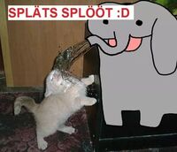 Pfostenbild
