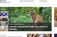 Pfostenbild