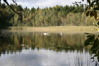 Pfostenbild