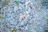 Pfostenbild