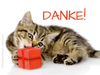 Pfostenbild